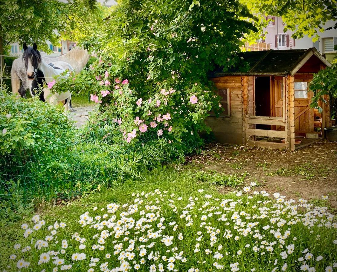 Rohrachhof Apartment Treuchtlingen Exterior foto